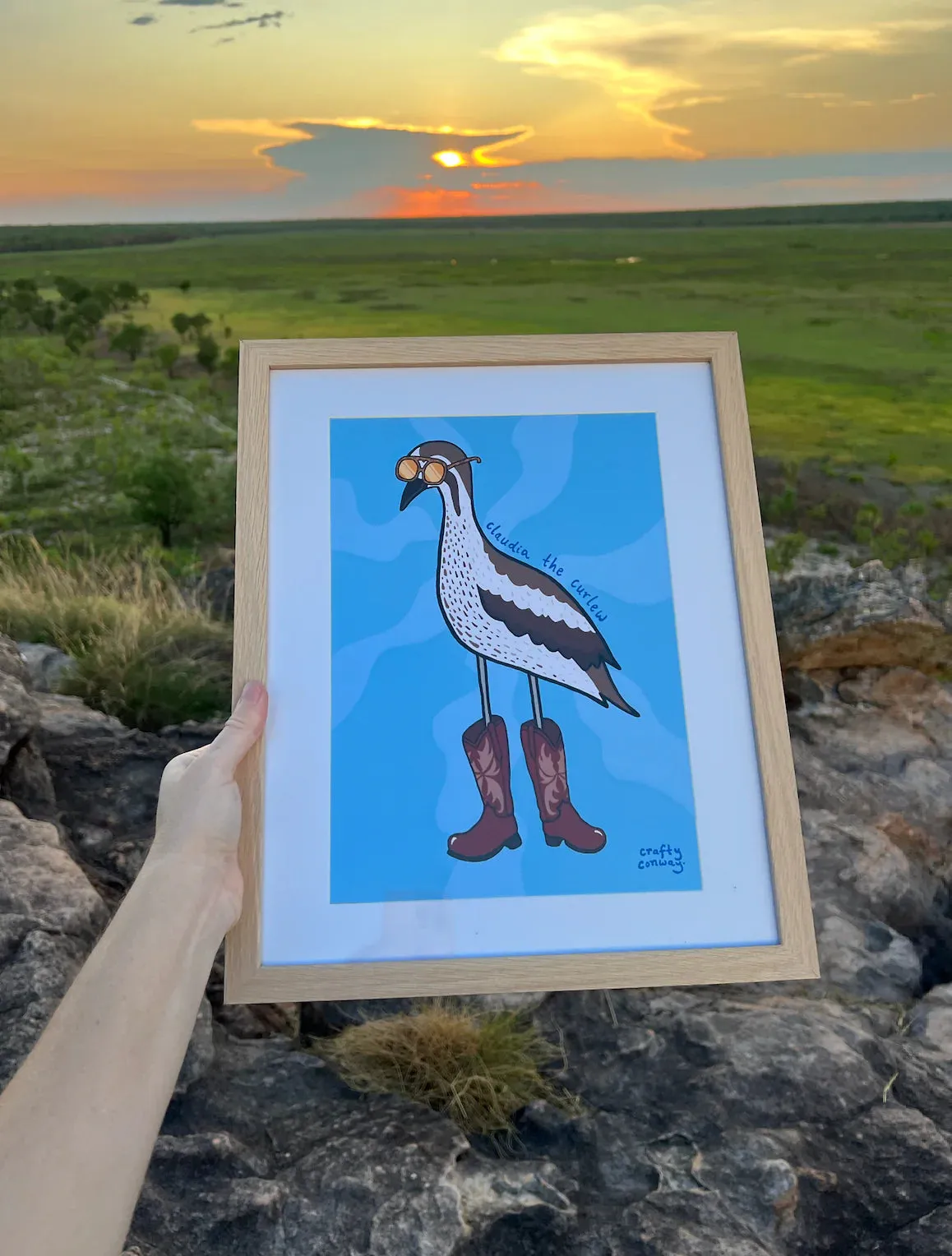 Claudia the Curlew