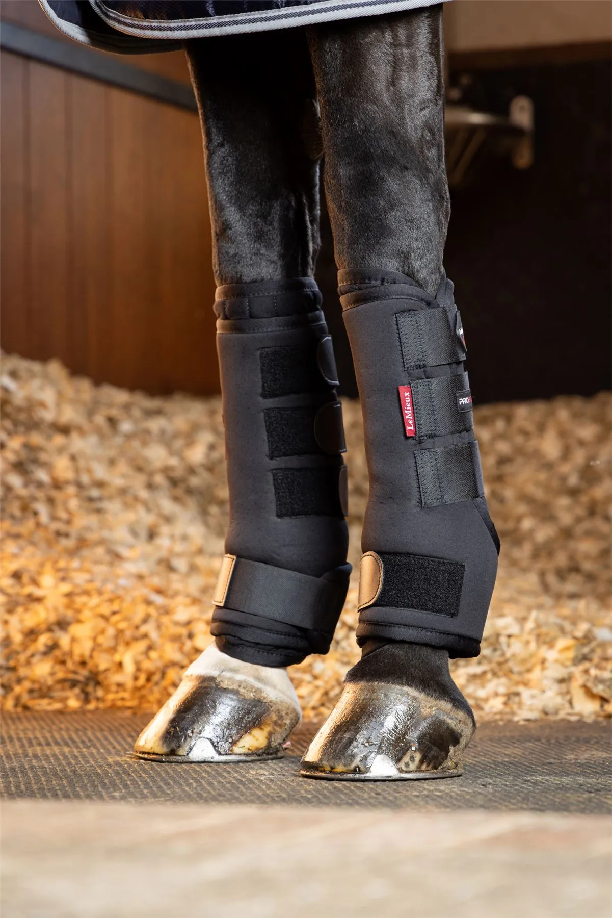 LeMieux Stable Boots