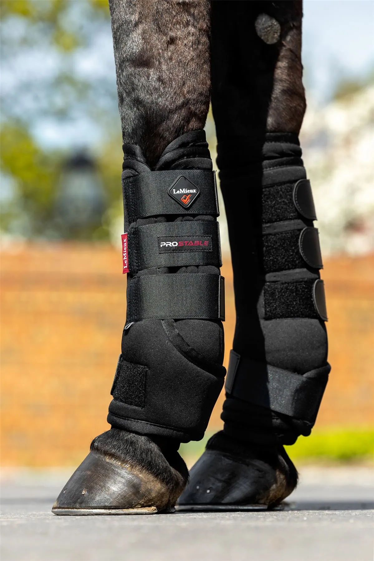 LeMieux Stable Boots