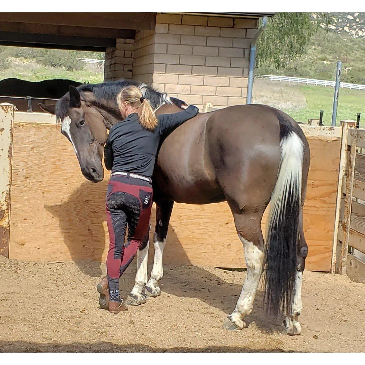 Lightweight Full Seat "Magic Breeches"- Burgundy with Black