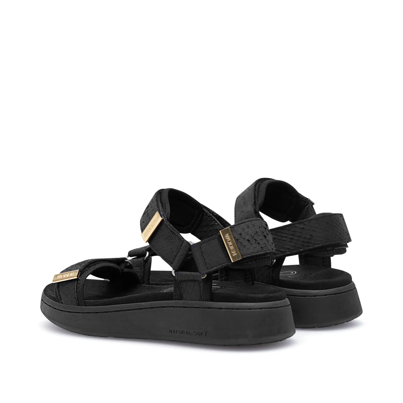 Line Fish - Black