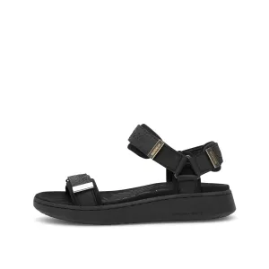 Line Fish - Black