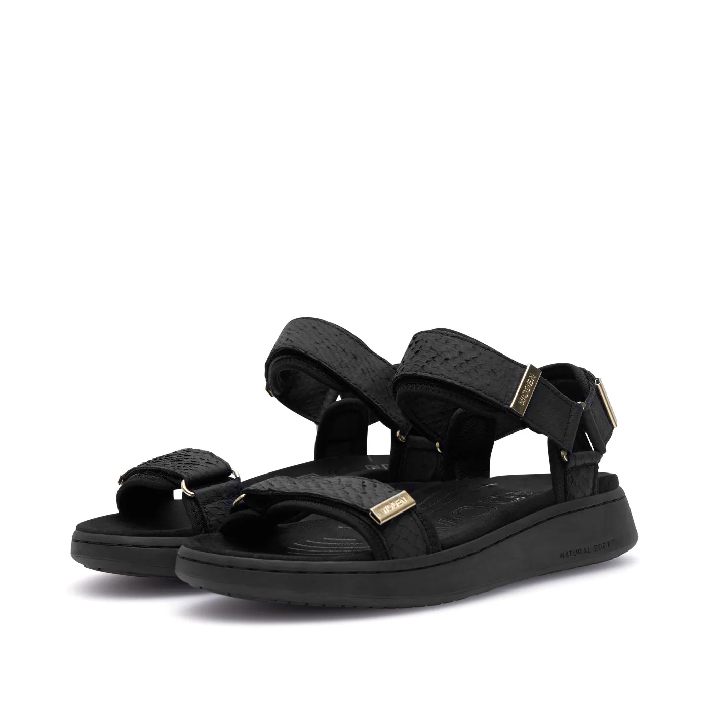 Line Fish - Black