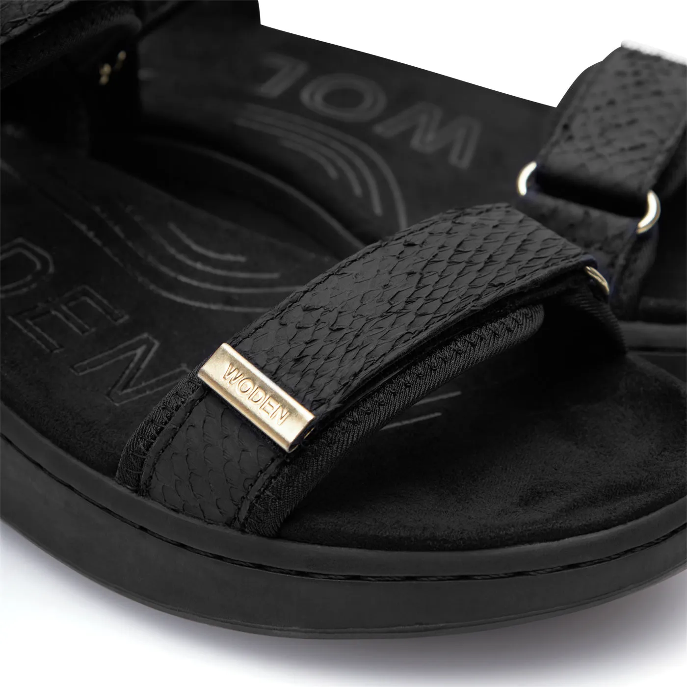 Line Fish - Black