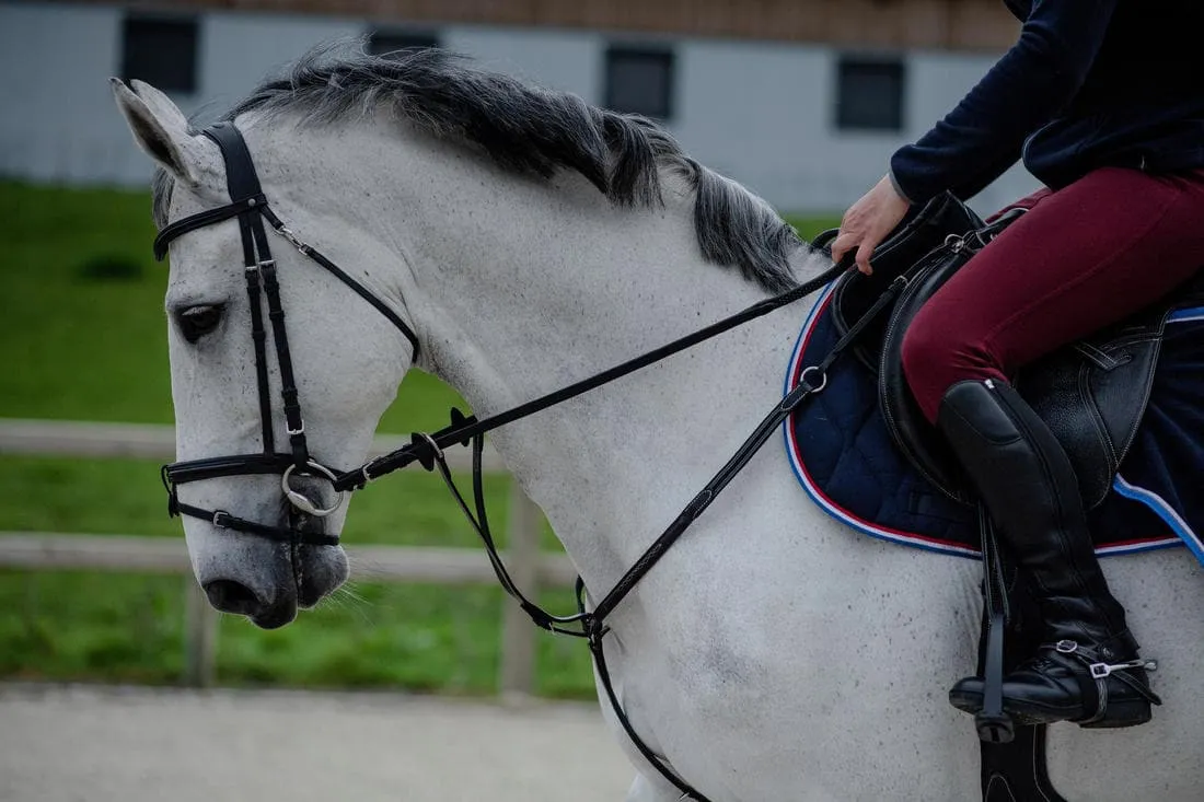 Mini-chaps équitation synthétique Adulte - 500 noires