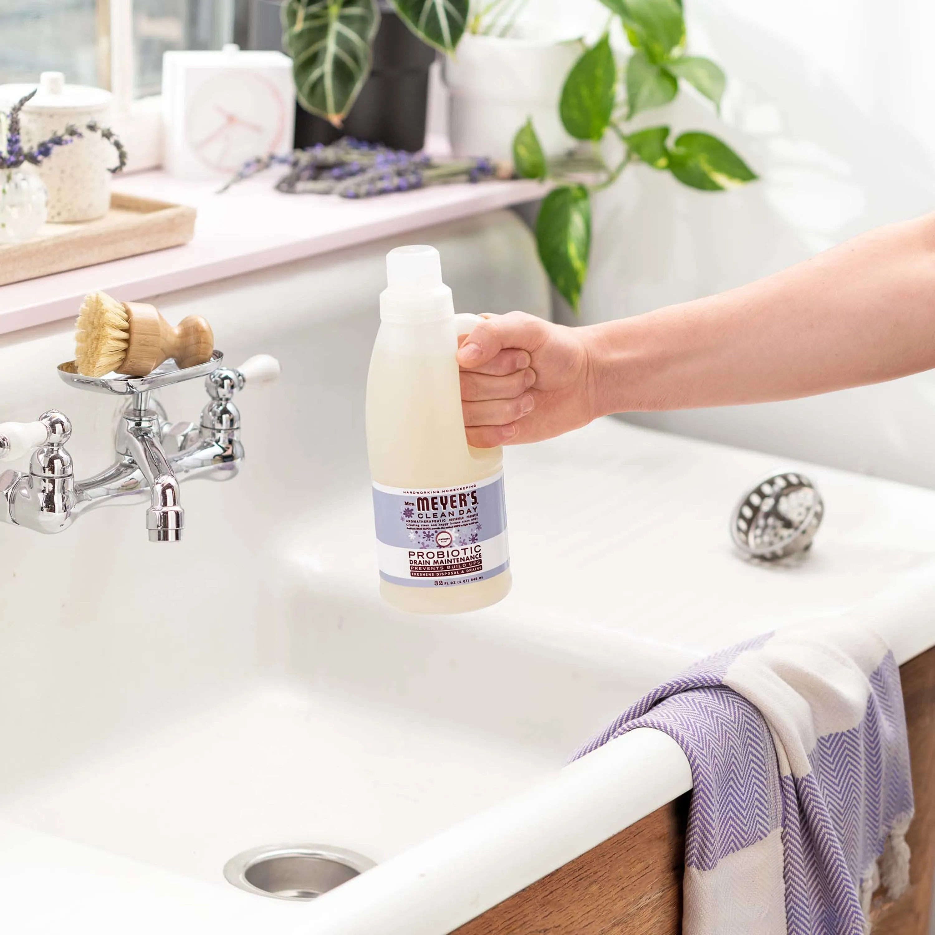 Probiotic Drain Maintenance
