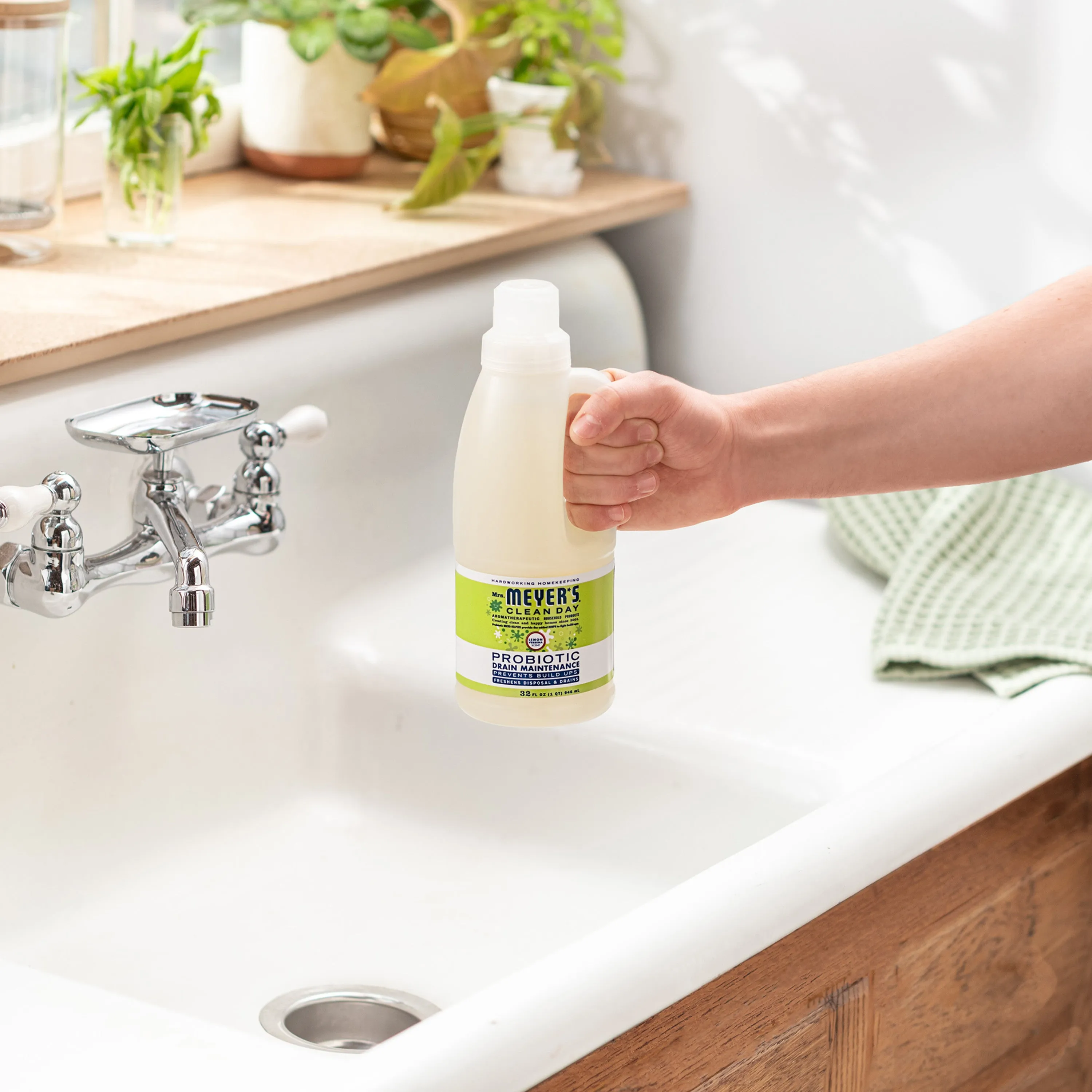 Probiotic Drain Maintenance