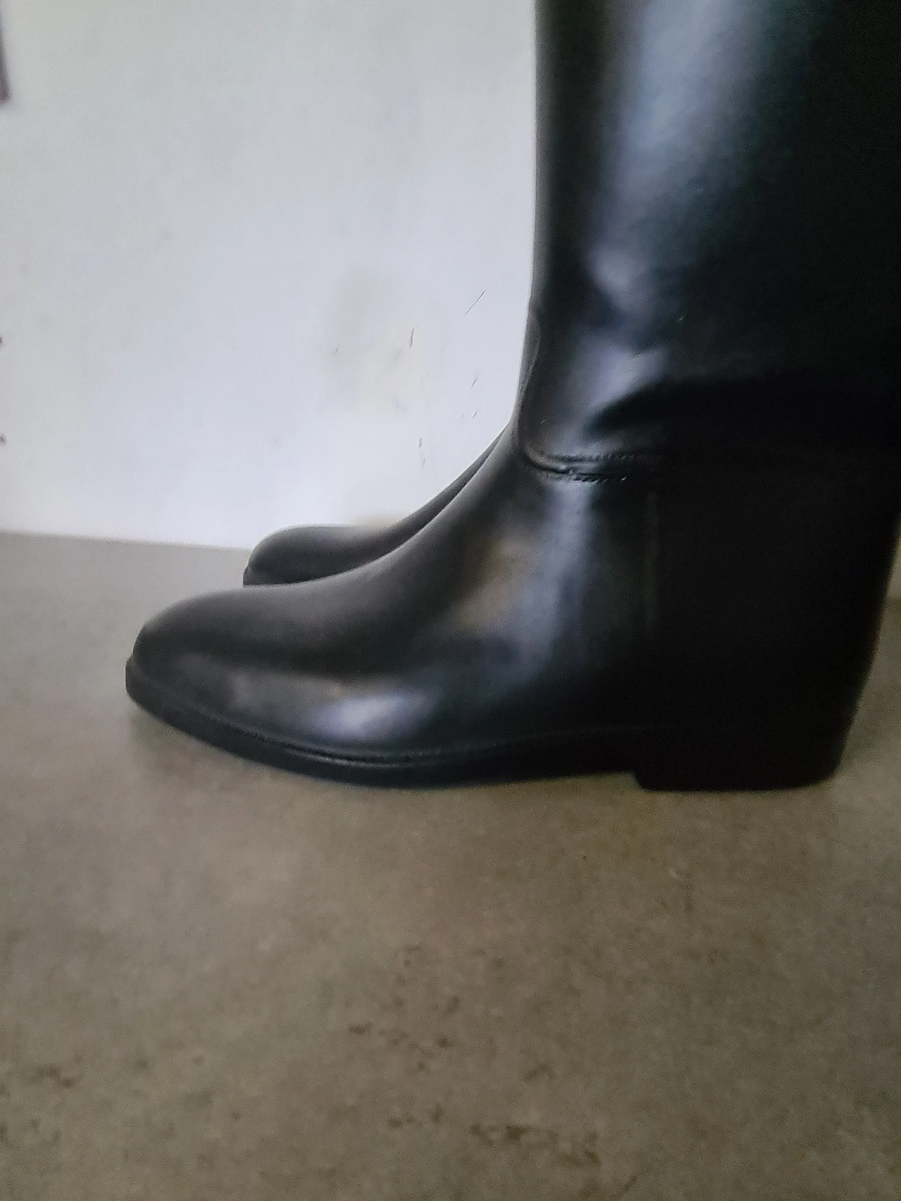 Ridding boots (ALGLE)
