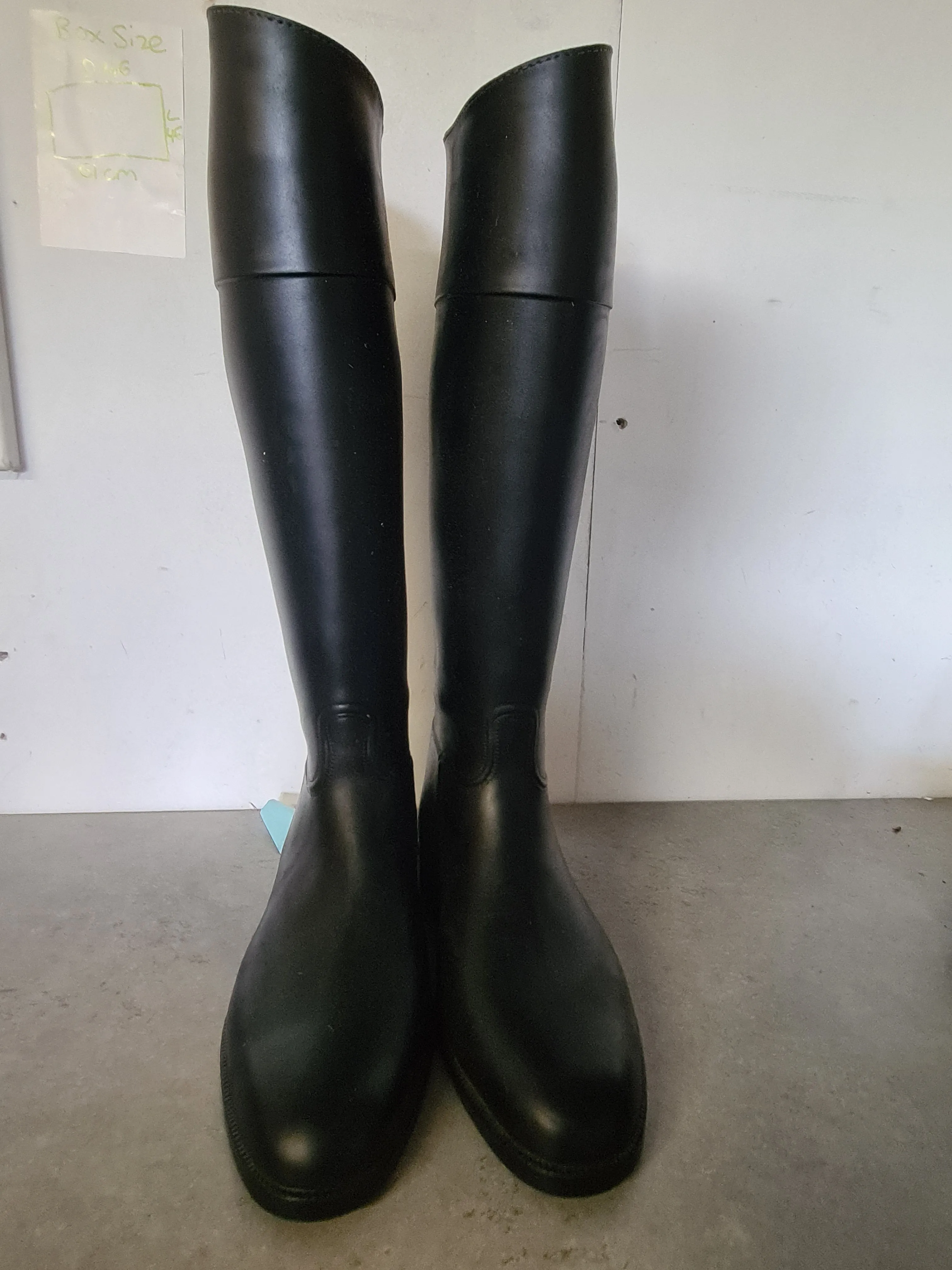 Ridding boots (ALGLE)
