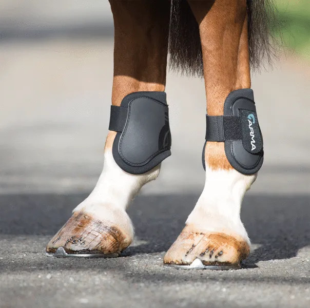 Shires ARMA Rear Fetlock Boots - Black