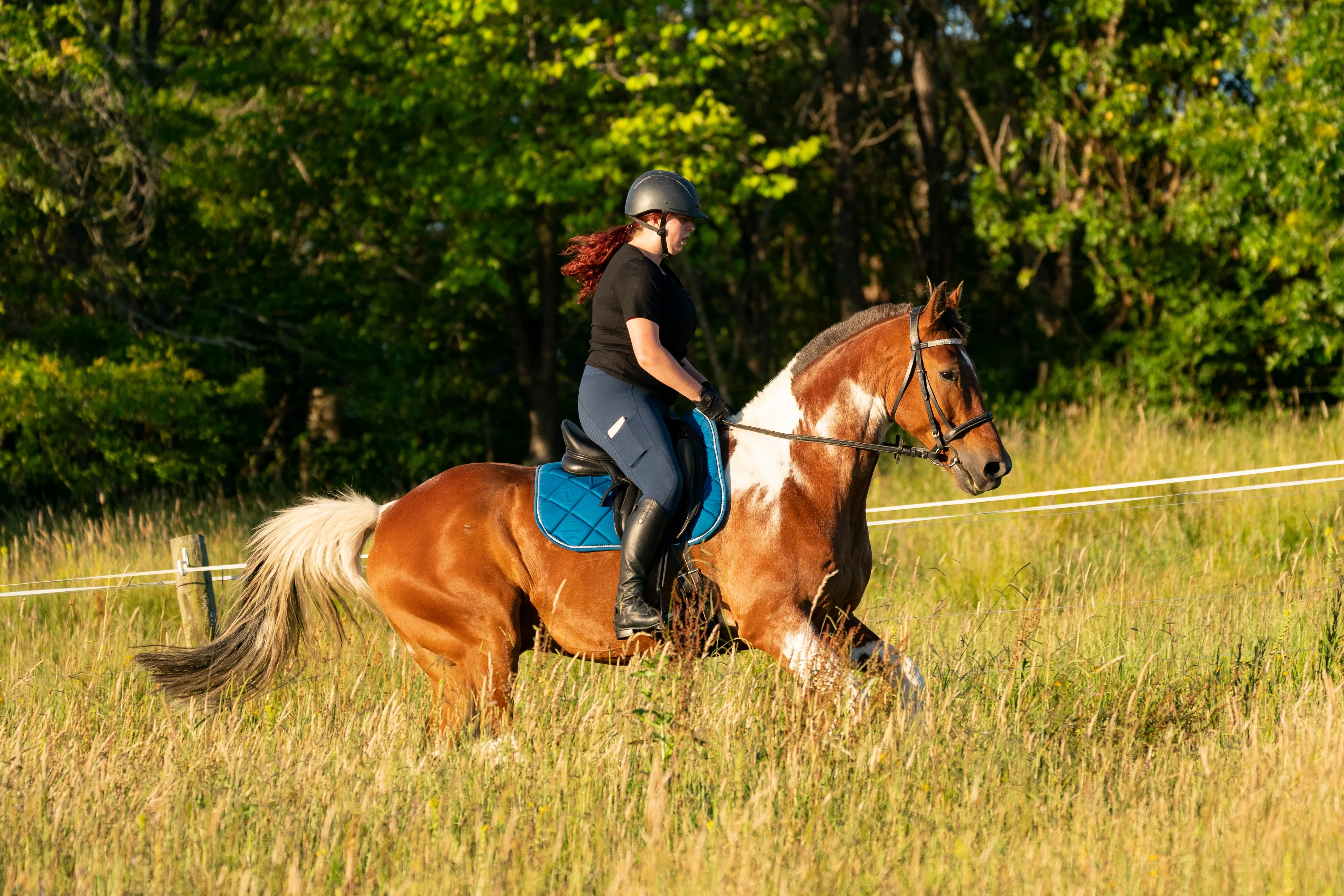 Topaz Blue Saddle Pads - Jump, GP, and Dressage cuts
