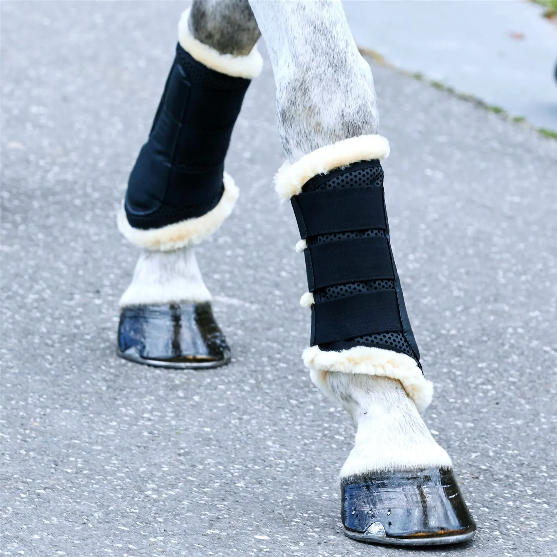 Weatherbeeta Pure Wool Lined Exercise Boots
